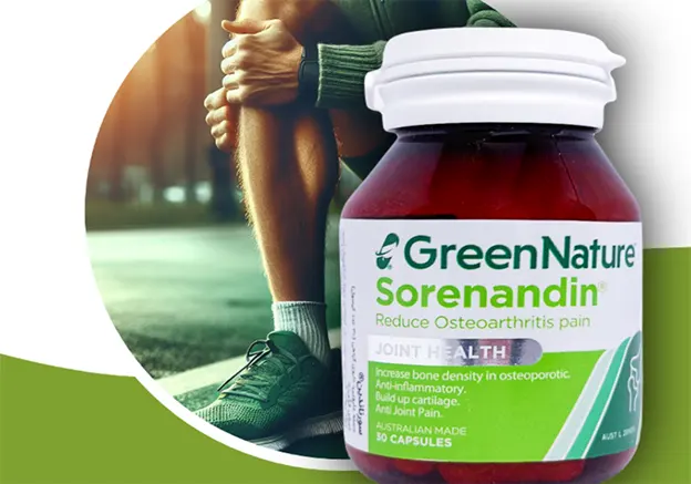 سورناندین کپسول