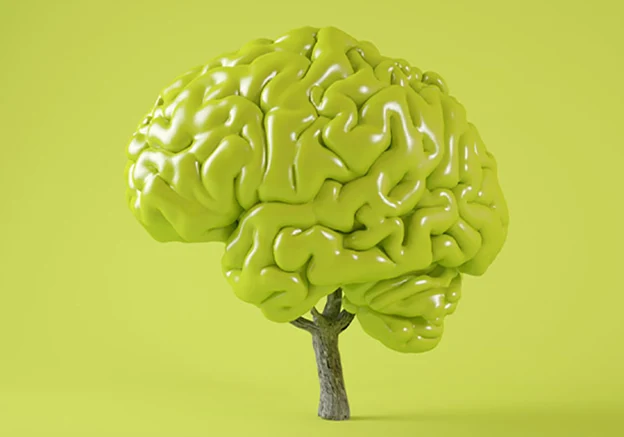 تقویت حافظه و عملکرد ذهنی با قرص منتال انرژی