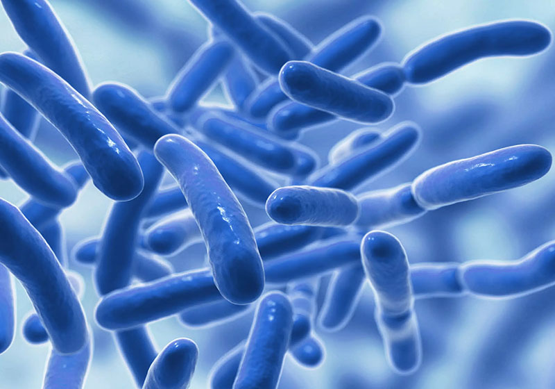 C:\Users\Fateme\Desktop\New folder (3)\y88x93q6.jpg