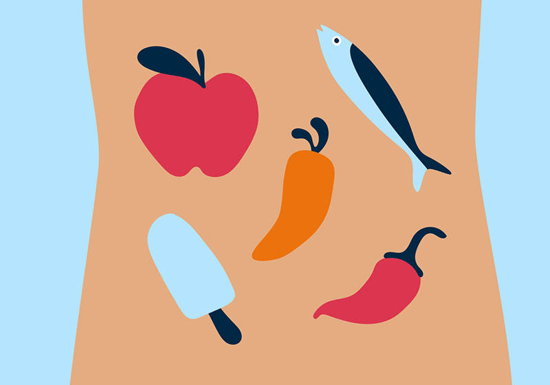 C:\Users\Fateme\Desktop\New folder (3)\What_is_a_metabolism_.jpg